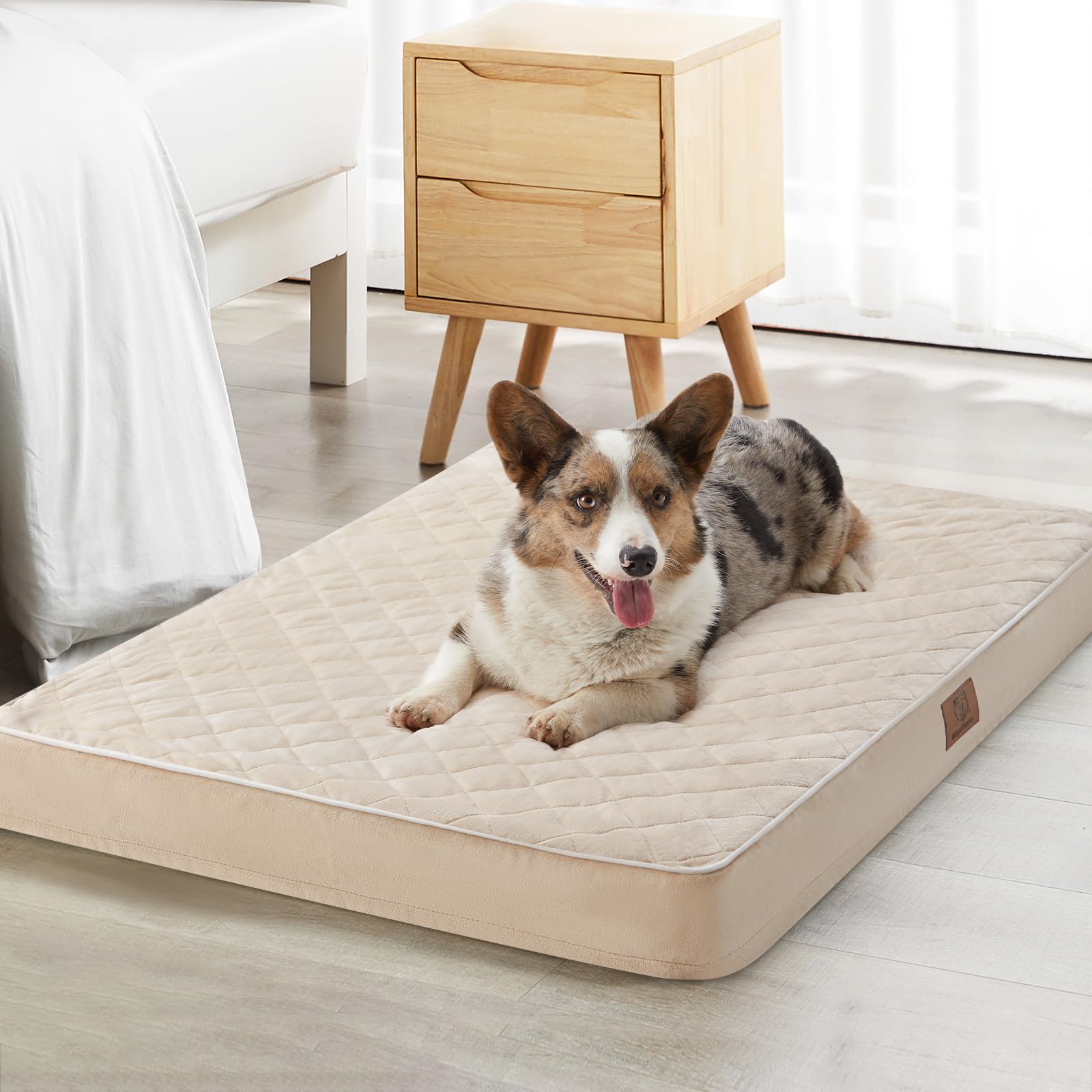 WNPETHOME Orthopedic XL dog bed velvet surface showing plush warmth and softness