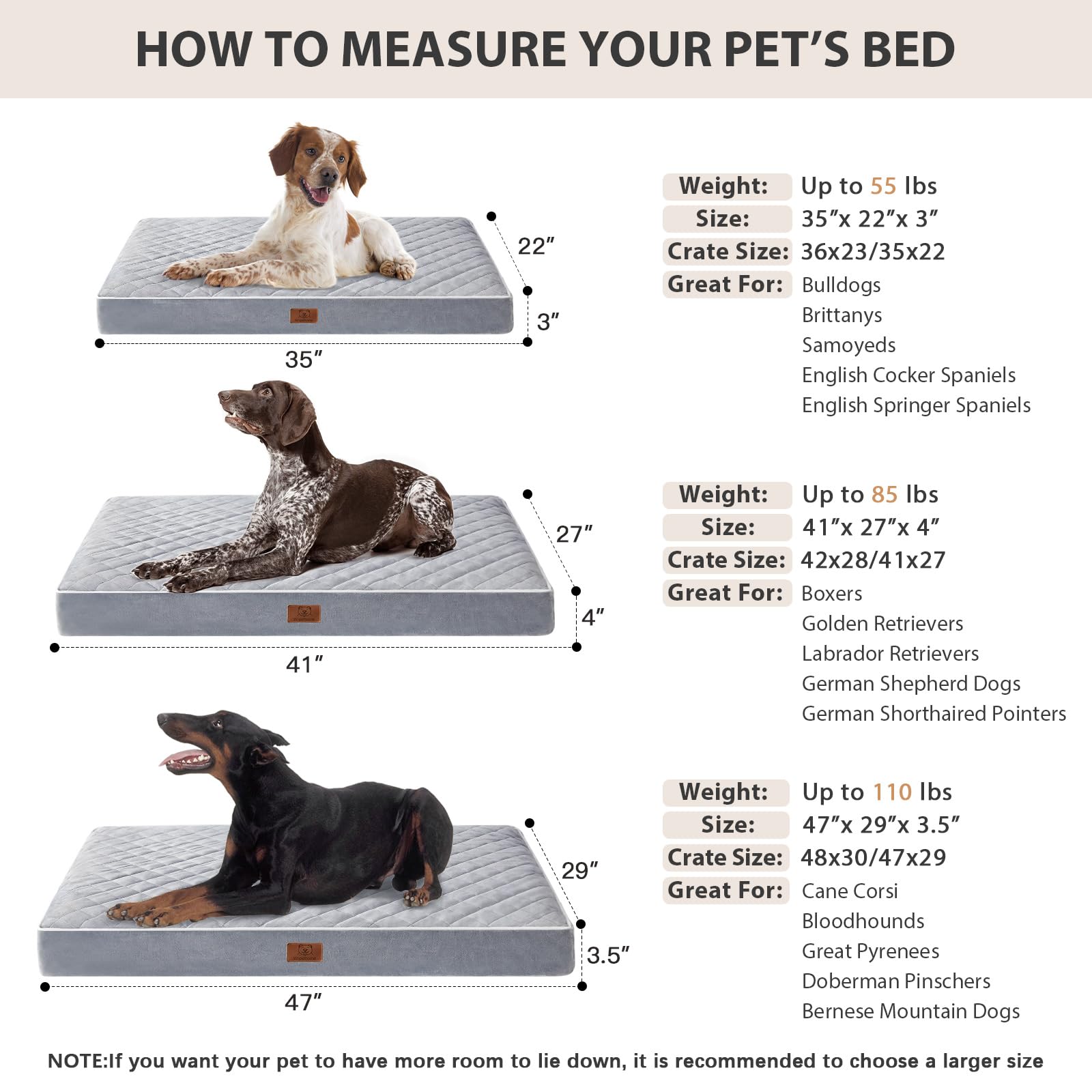 WNPETHOME vacuum-sealed packaging preserves bed quality until setup