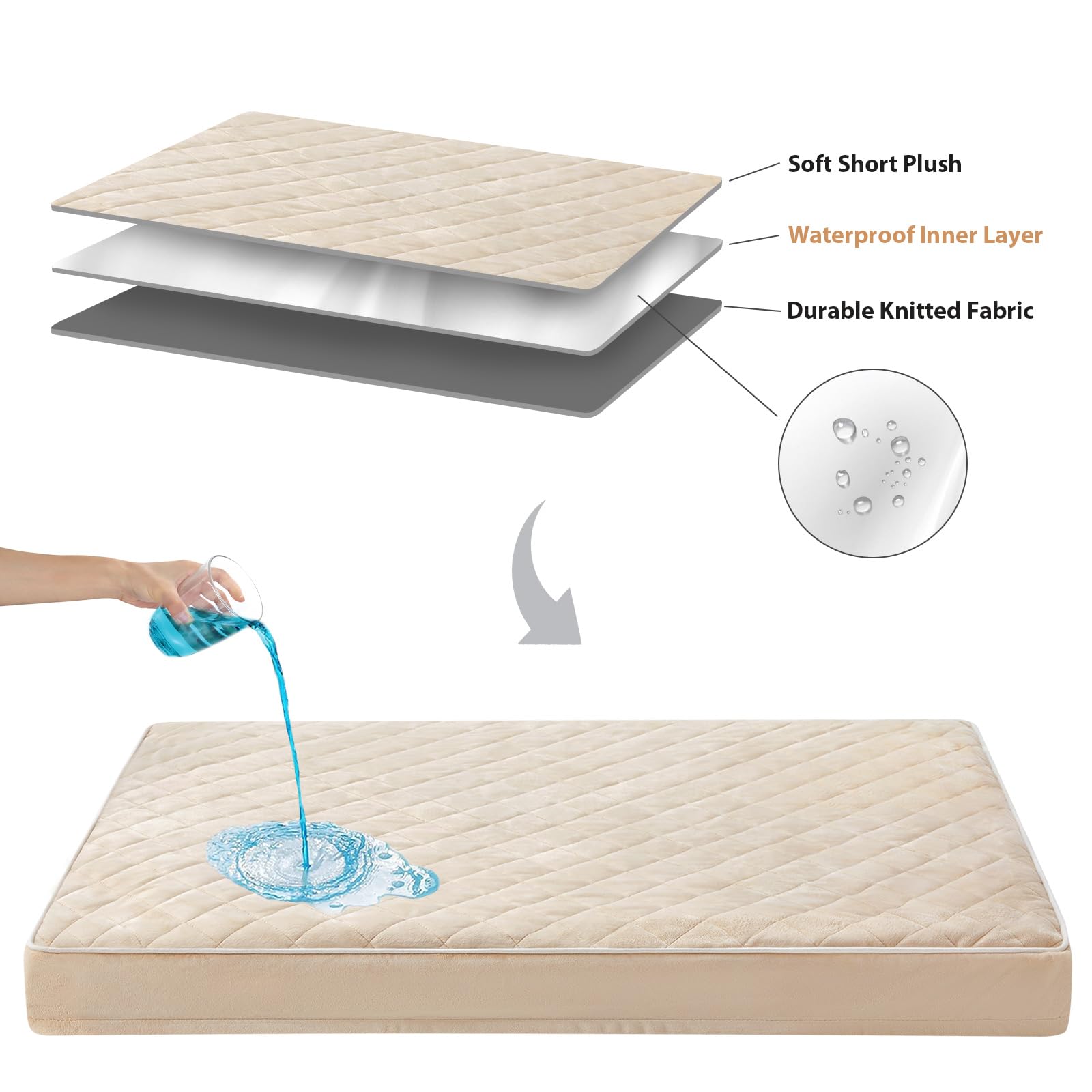 WNPETHOME vacuum-sealed packaging ships compactly and expands after opening
