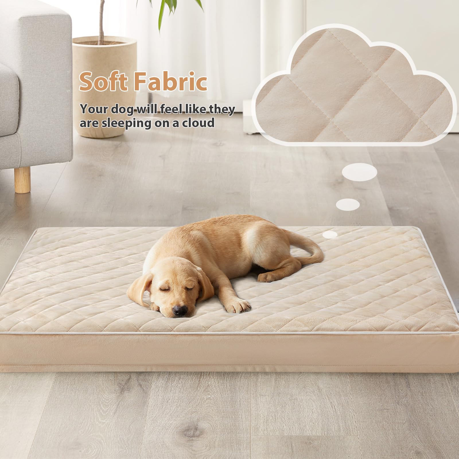 WNPETHOME velvet surface close-up highlights warmth and softness