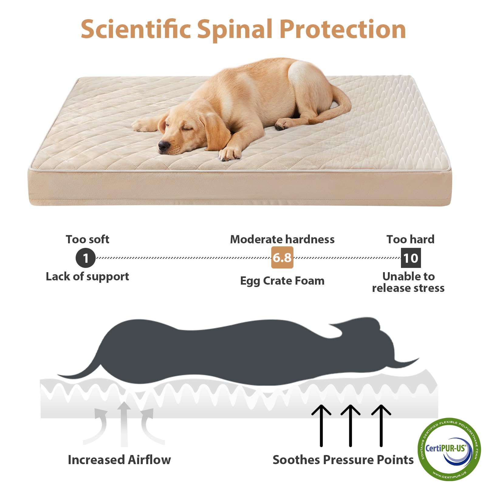 WNPETHOME waterproof layer cross-section illustrating mess protection for pets