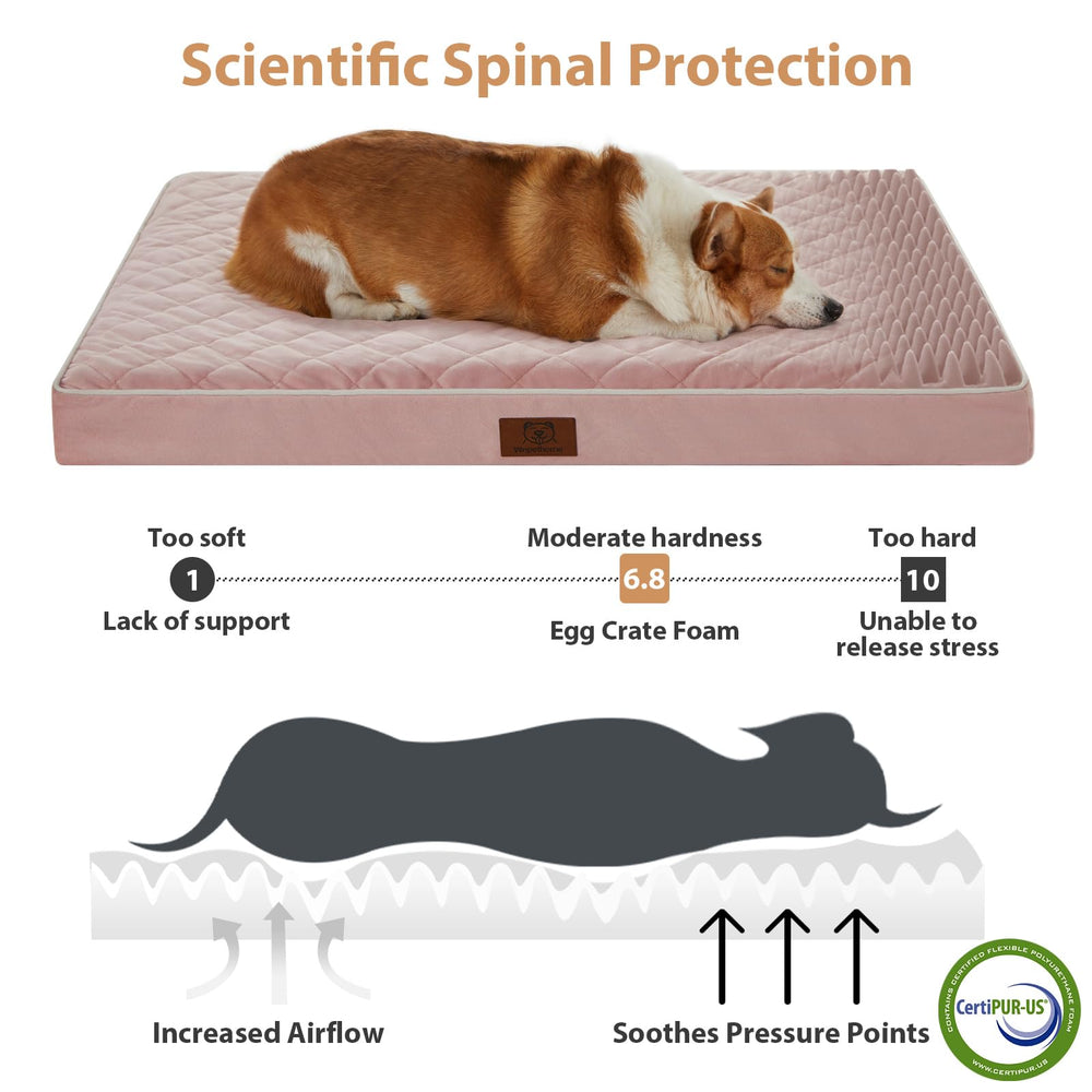 WNPETHOME removable washable cover simplifies cleaning and maintenance.