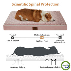 WNPETHOME removable washable cover simplifies cleaning and maintenance.