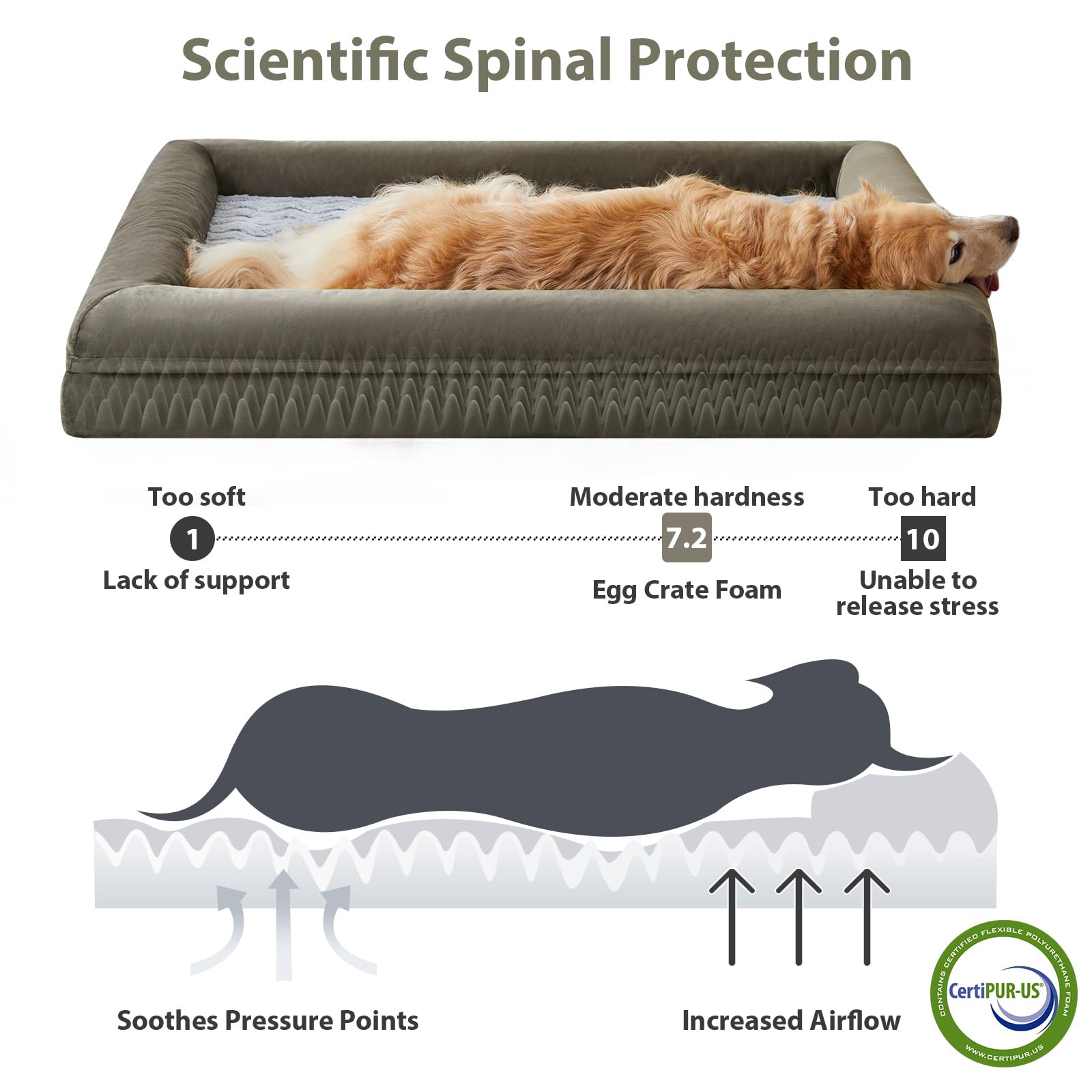 WNPETHOME XXXL dog bed washable cover enables quick cleanup after adventures.