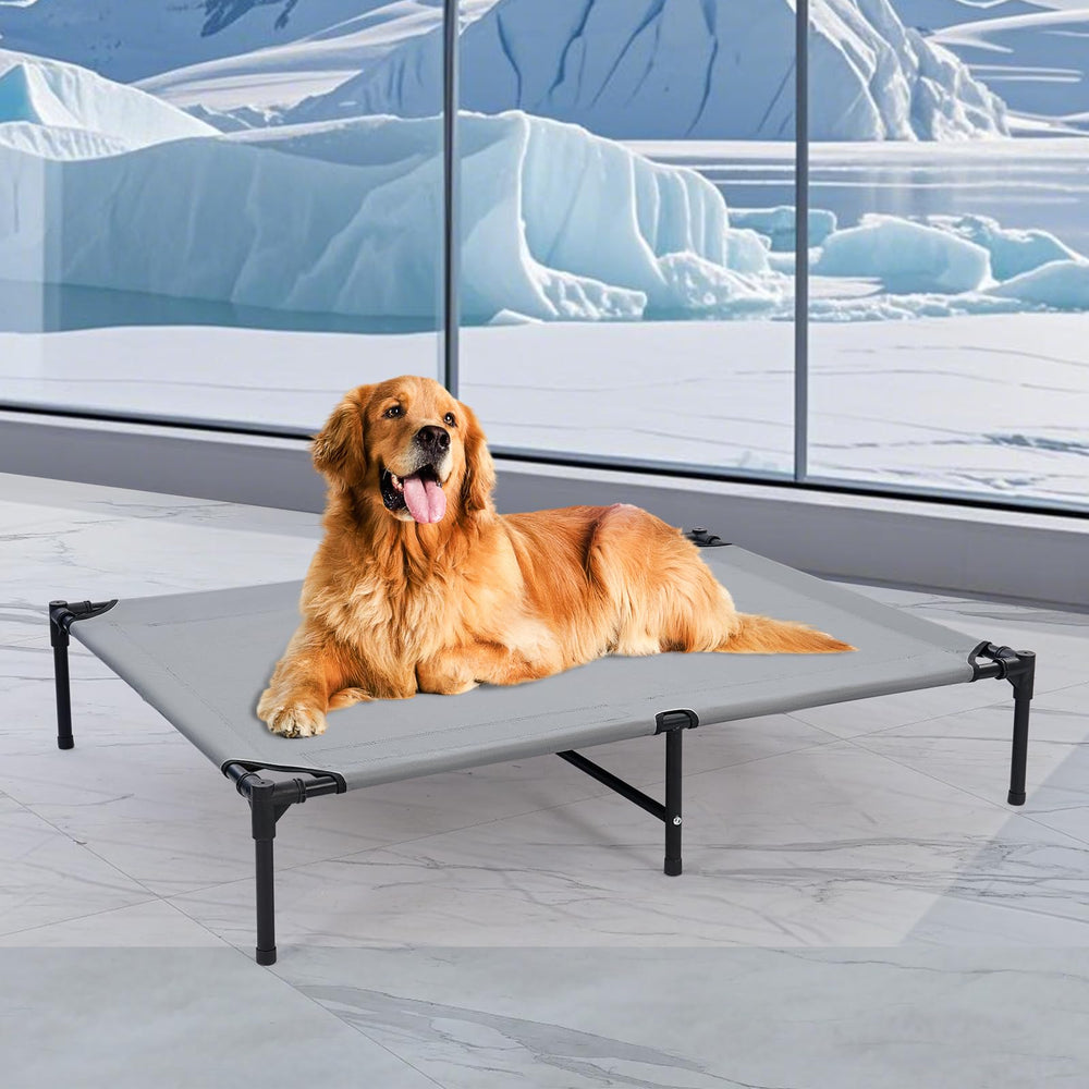 Wn's Day 42'' outdoor elevated dog bed side view highlights sturdy frame for cooling comfort