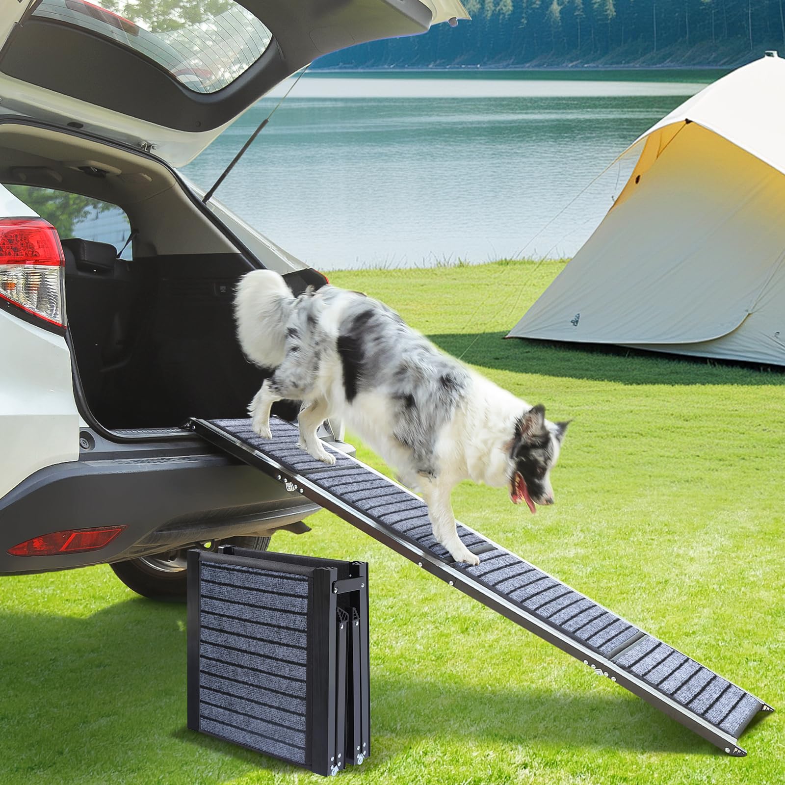 Wn's Day 63-inch dog ramp in use with gentle incline for joints and mobility.