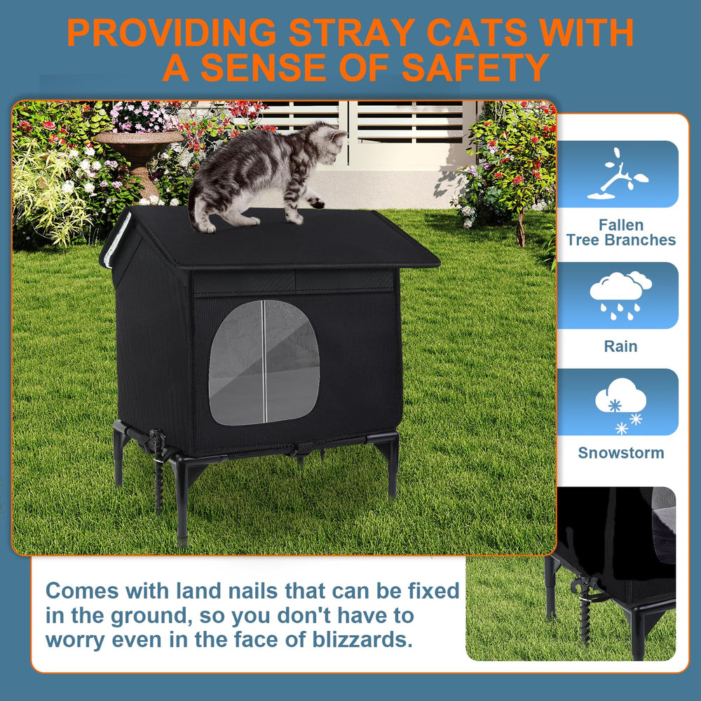 Wn's Day cat house side escape door offers quick retreat for safety.