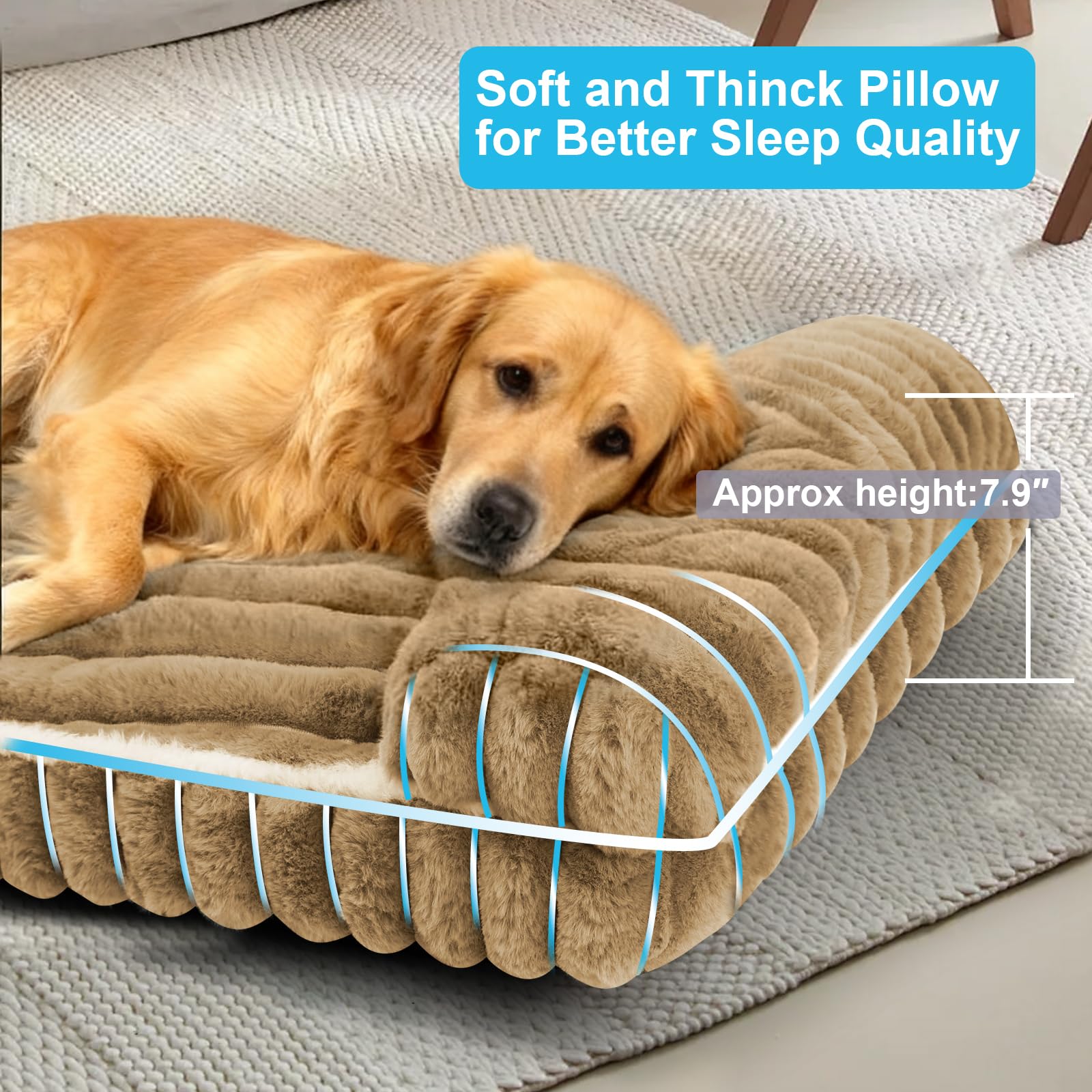Wn's Day Comfort Dog Bed head pillow XL showing neck support for large breeds.