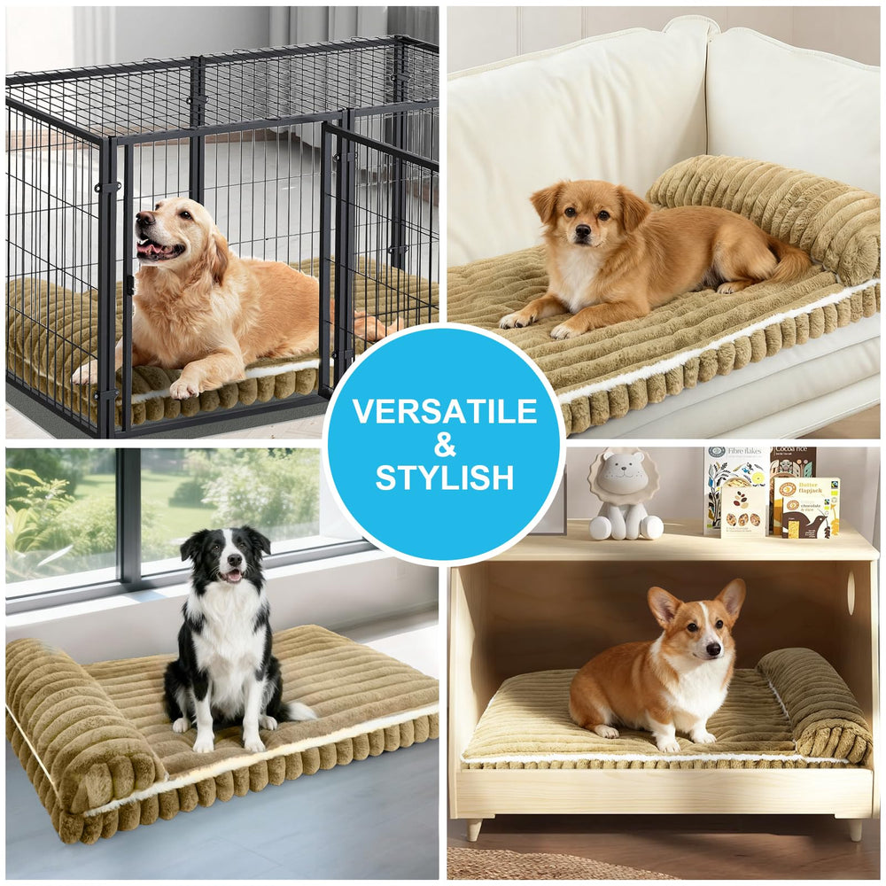 Wn's Day plush rectangle bed XL cushions large dogs in restful posture.