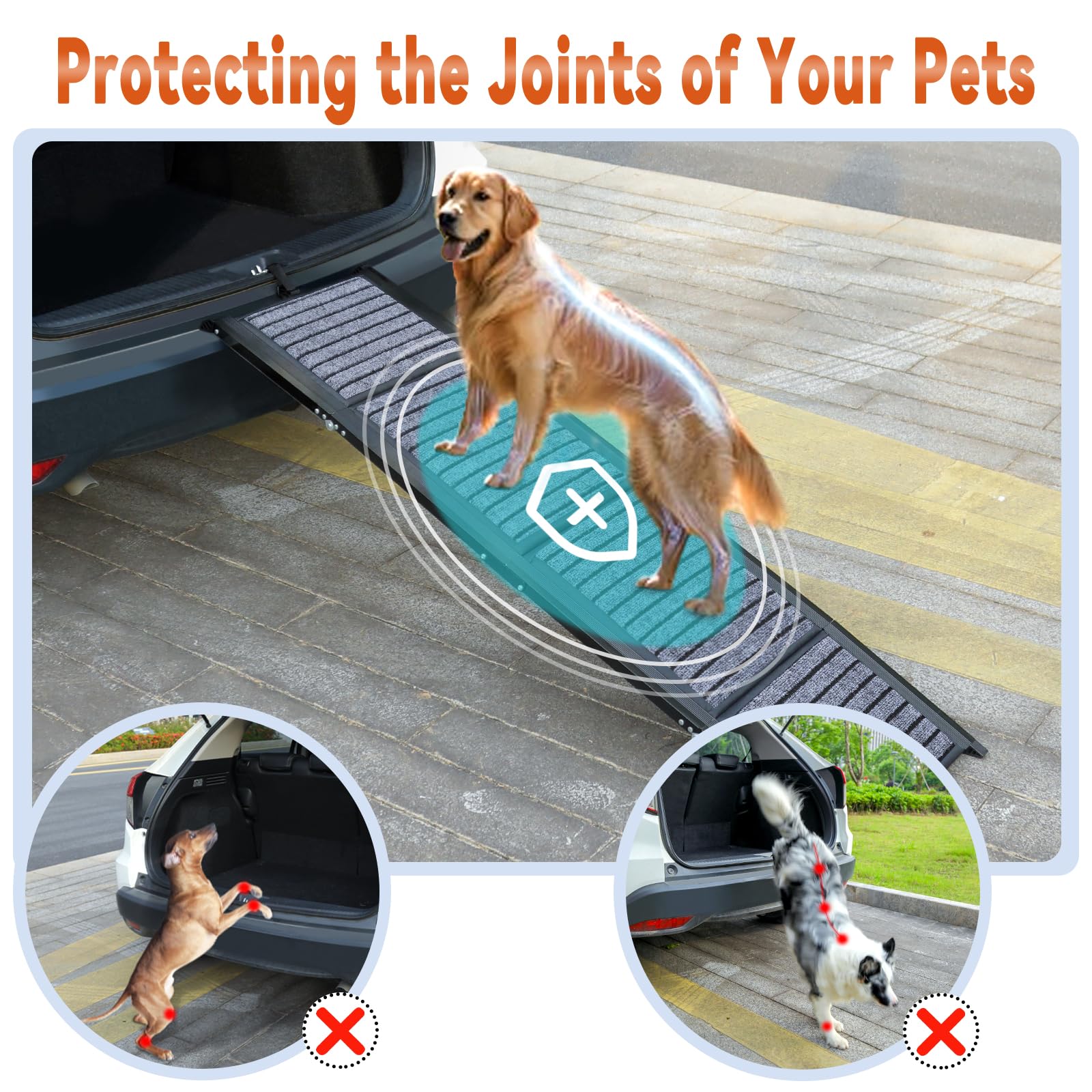 Wn's Day dog ramp close-up on non-slip rug surface for secure footing.
