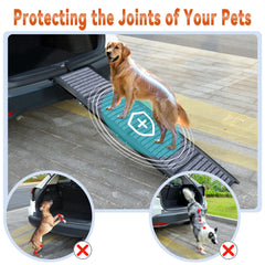 Wn's Day dog ramp close-up on non-slip rug surface for secure footing.