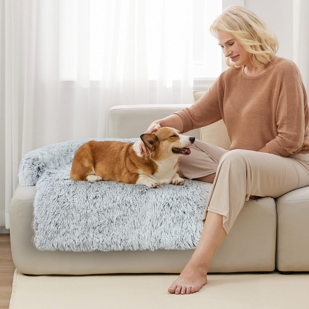 Wn's Day plush surface offers a calming resting space for dogs.