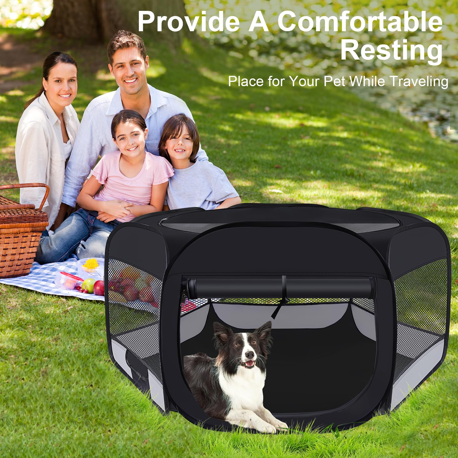 Wn's Day small-size 29x29x16 indoor play for cats and small dogs.
