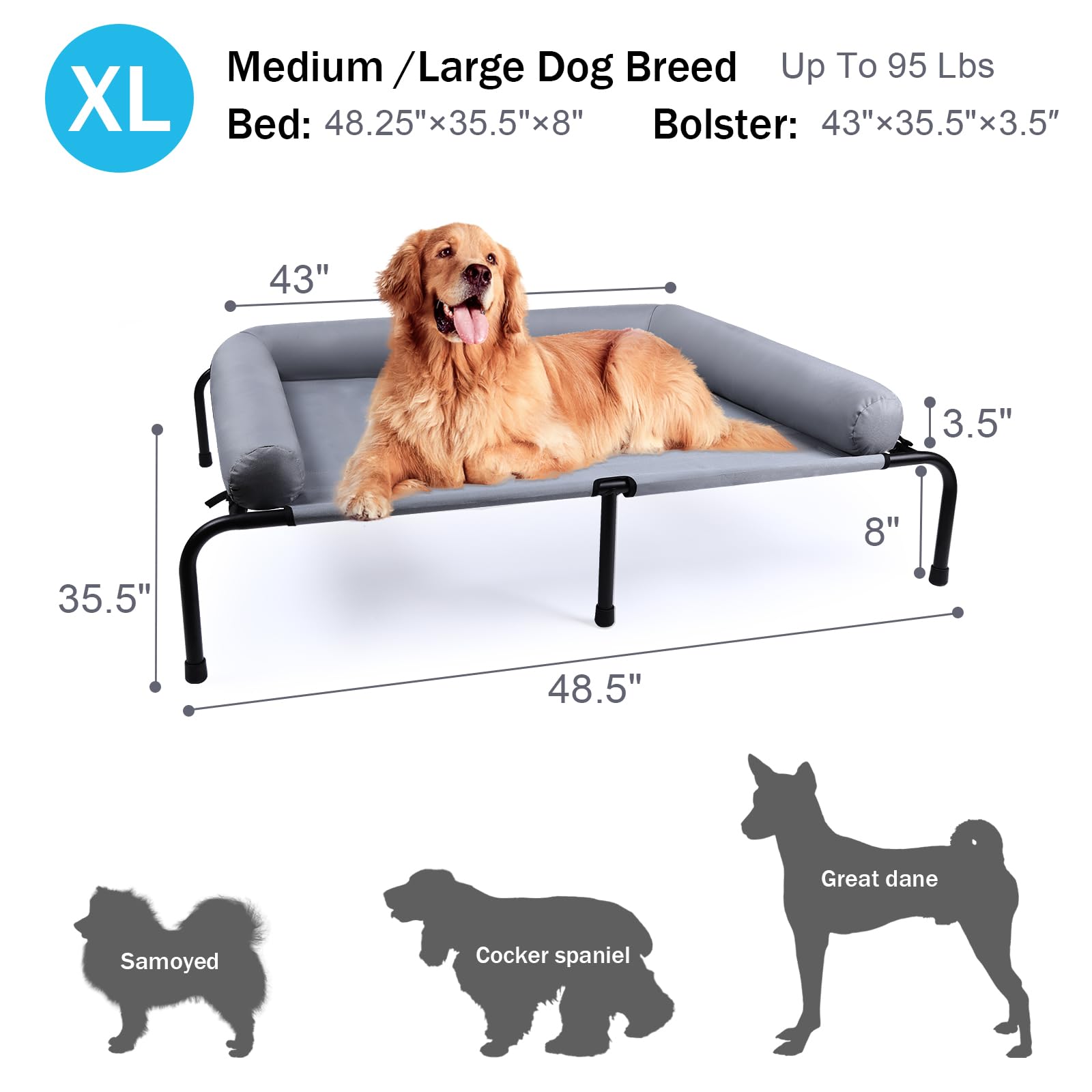 Wn's Day washable dog bed image conveys easy cleaning and odor control