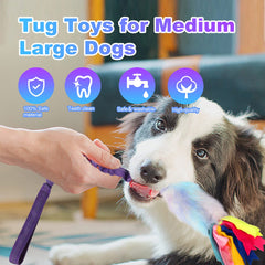 Wodoca dog rope toy interactive play scene illustrates training and fetch-ready fun.