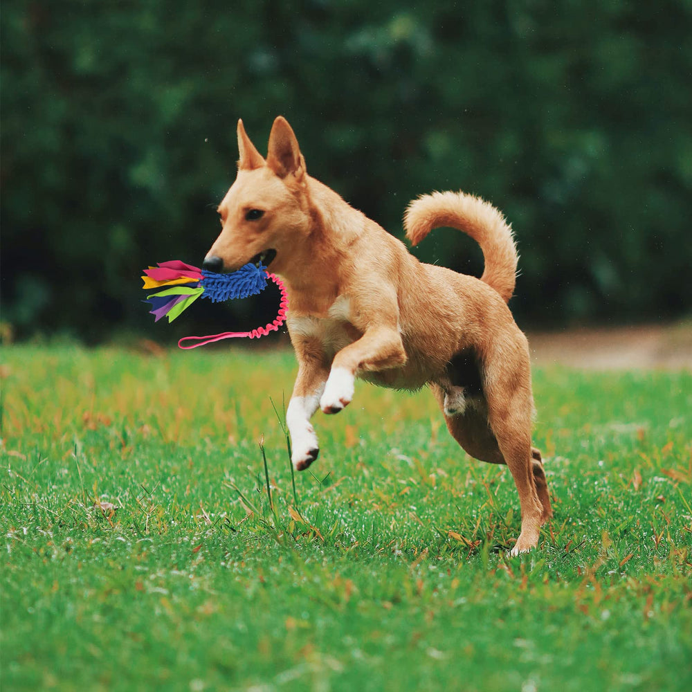 Wodoca dog tug toy being pulled highlights durable elastic band for long lasting fun