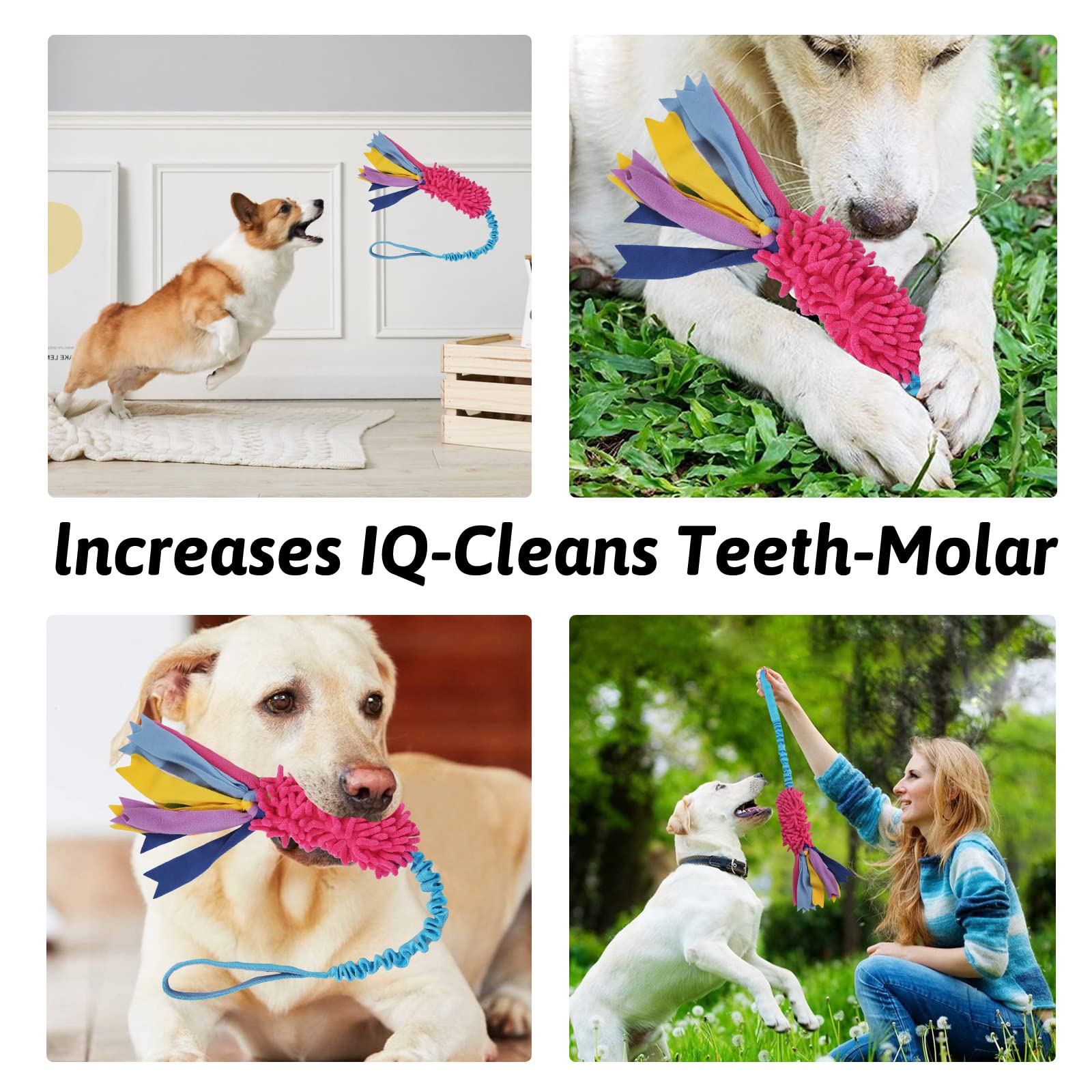 Wodoca dog tug toy-training-recall-session promotes recall practice through rewarding tug-based play