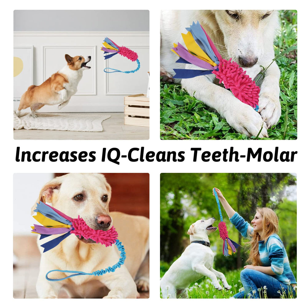 Wodoca dog tug toy-training-recall-session promotes recall practice through rewarding tug-based play