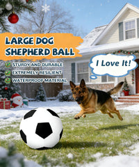 Wofypetny 25-inch herding ball in action during outdoor training sessions.