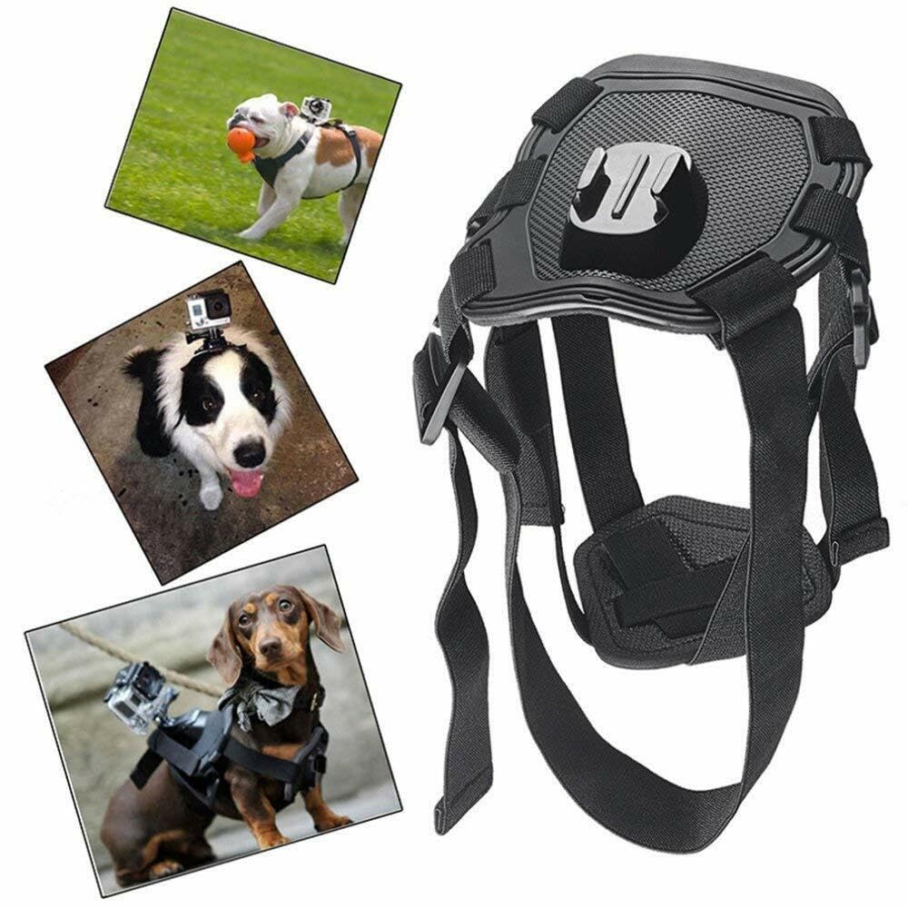 Wogerplu dog harness chest brace removable for smaller dogs.