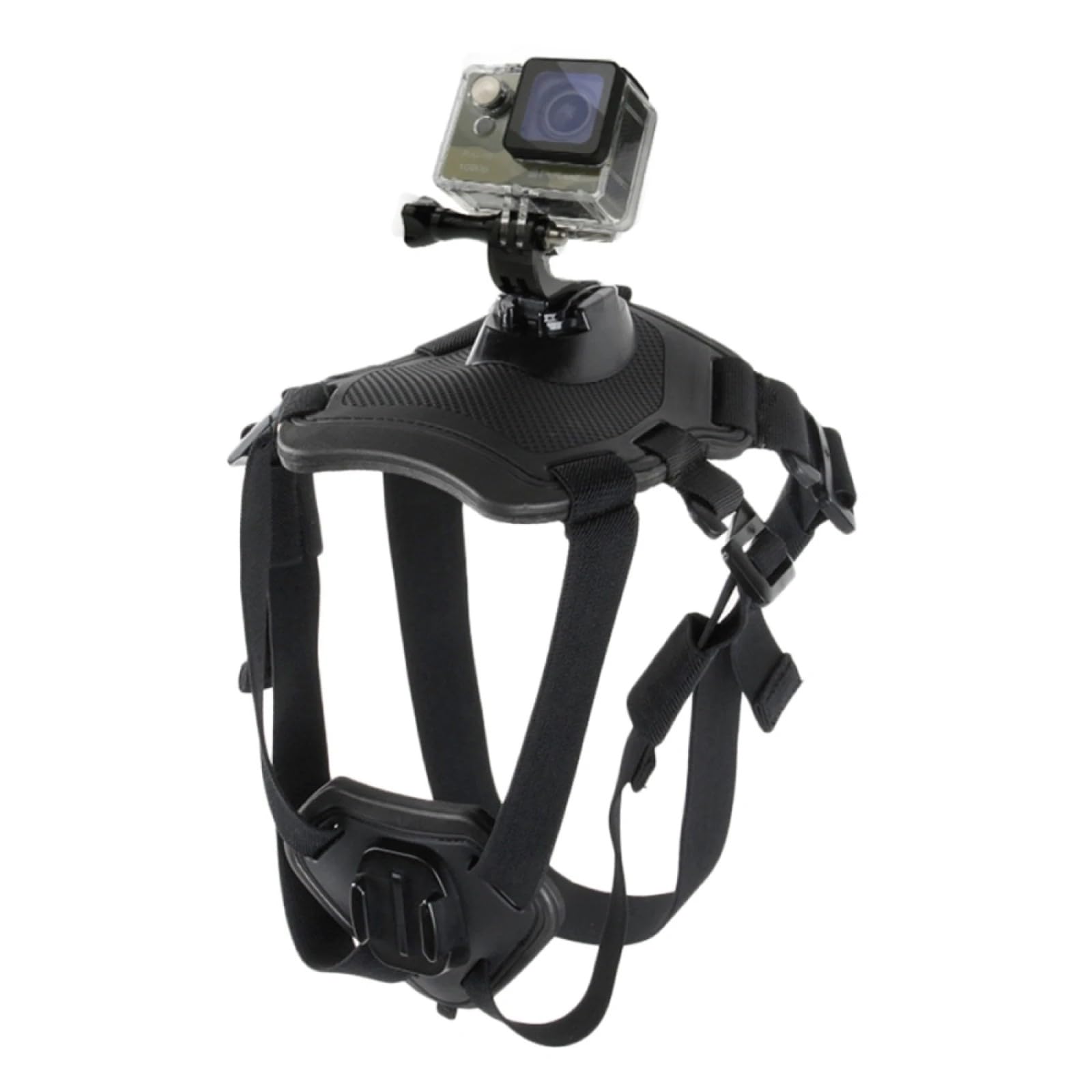 Wogerplu dog harness GoPro back view records head-level action for immersive footage.