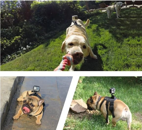 Wogerplu dog harness two-mounting-base works with GoPro and other action cameras.