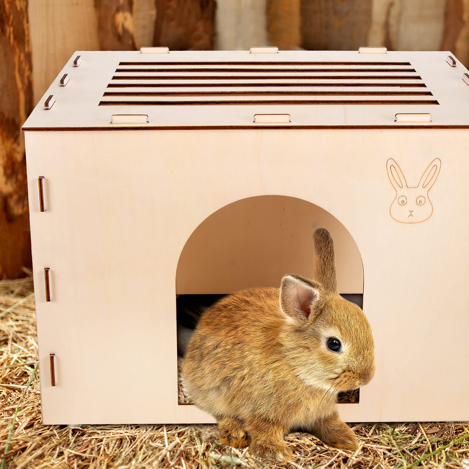 Woiworco wooden rabbit hideout with pets shows cozy hideaway for naps.