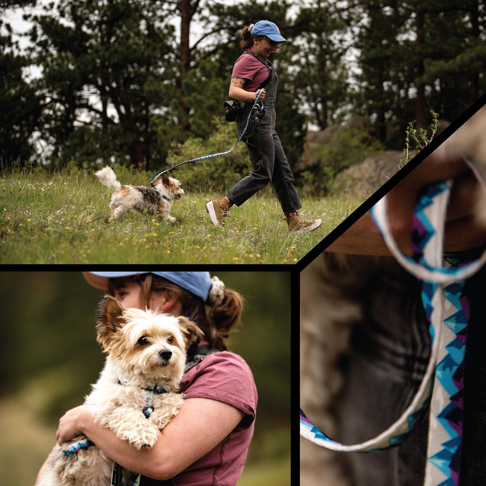 Wolfgang Adjustable-fit Small collar demonstrates secure comfort for different neck sizes