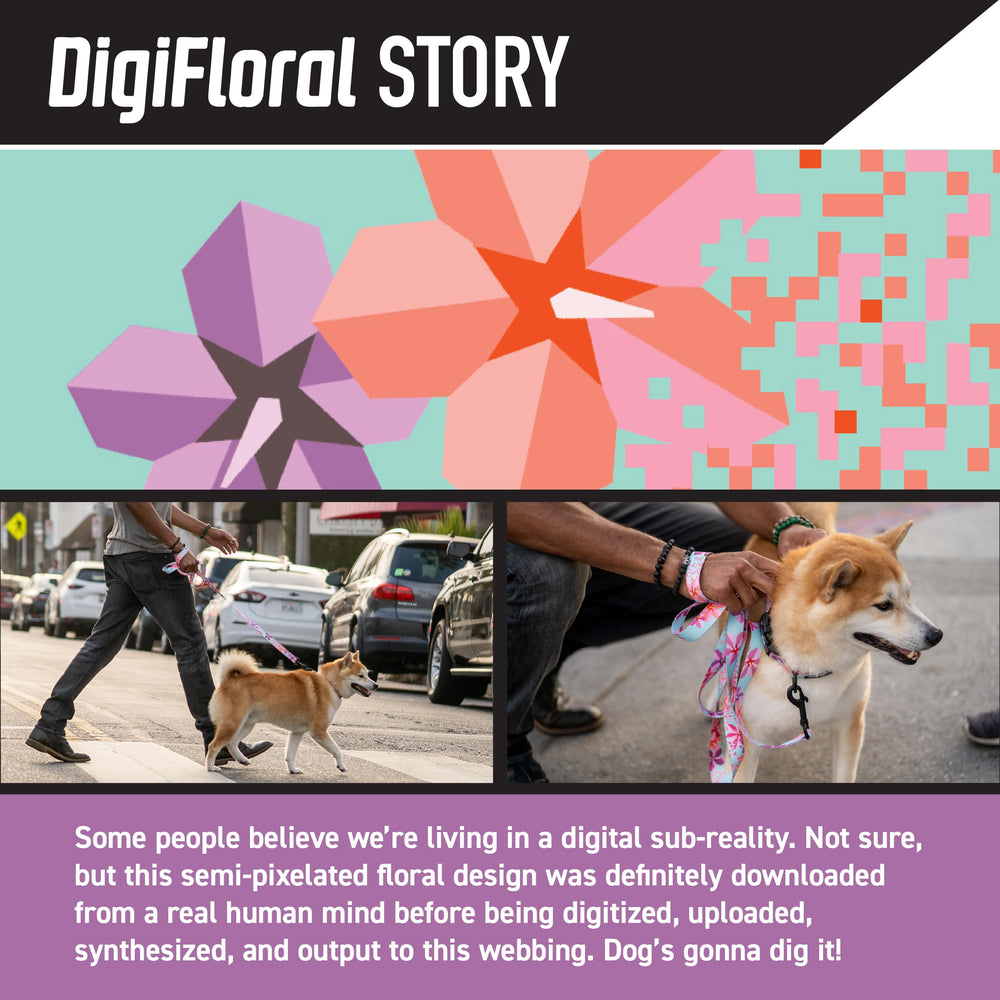Wolfgang DigiFloral print collar shown on dog during daily walks