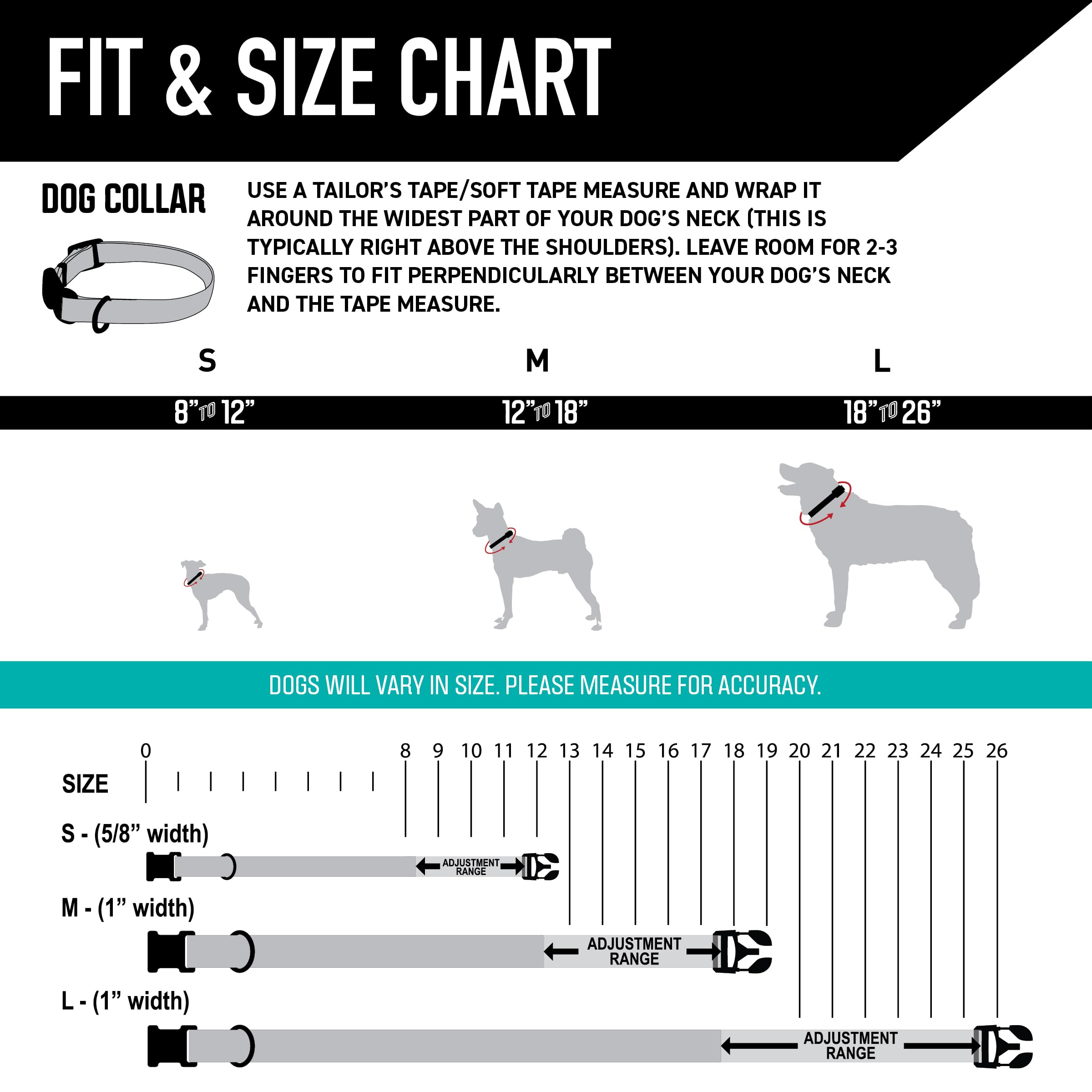 Wolfgang Heavy Duty collar welded D-ring close-up, secure leash attachment for training.