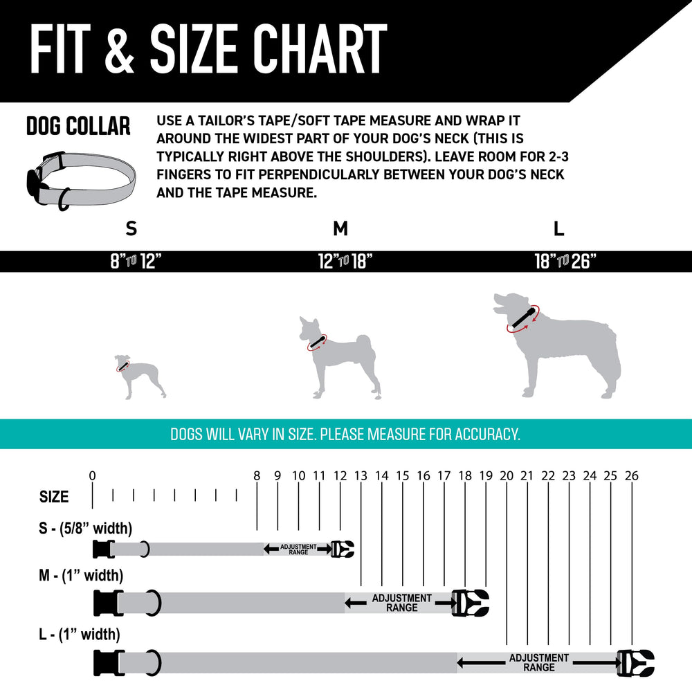 Wolfgang Heavy Duty collar welded D-ring close-up, secure leash attachment for training.