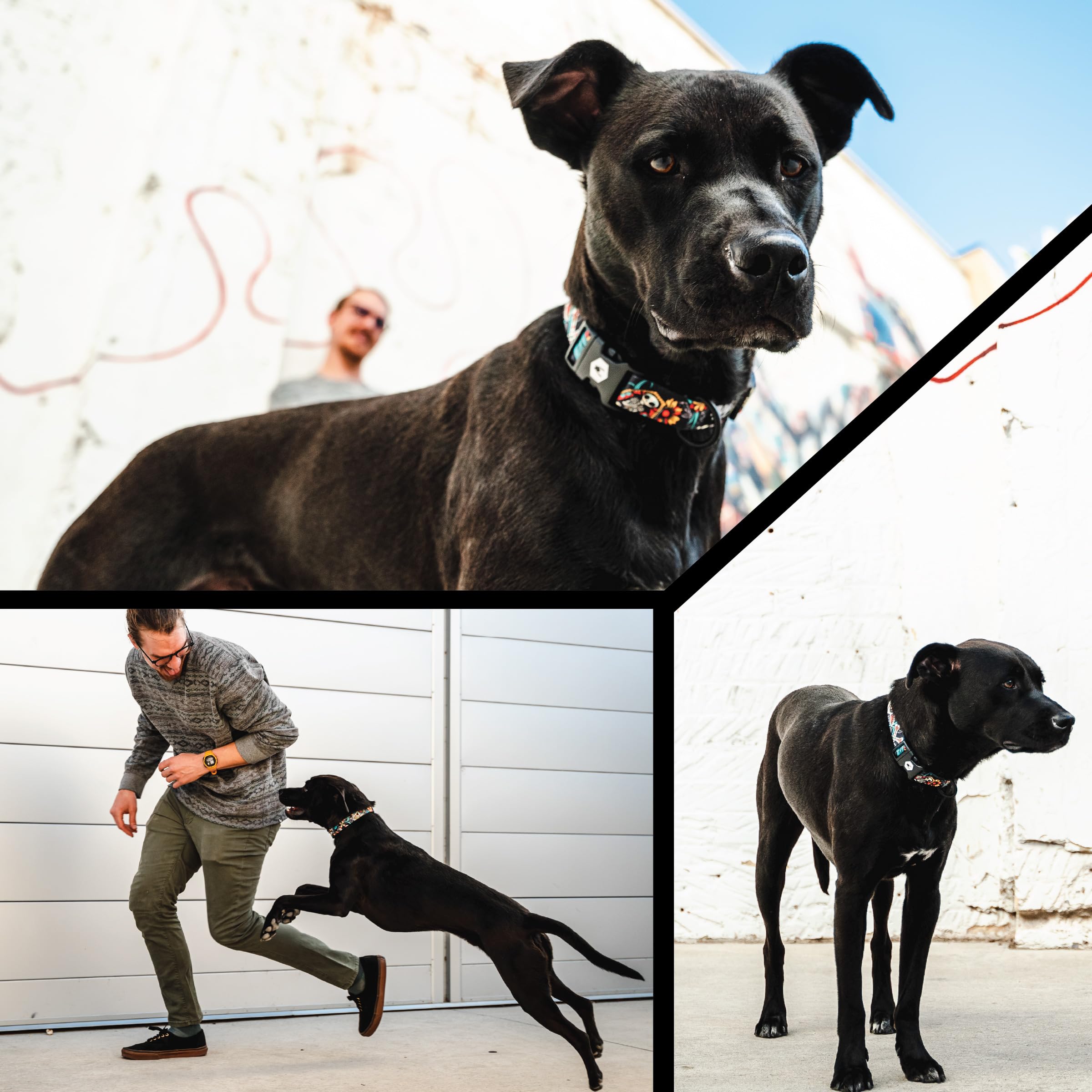 Wolfgang LosMuertos Small leash highlights adjustable fit for a comfortable, secure stroll.