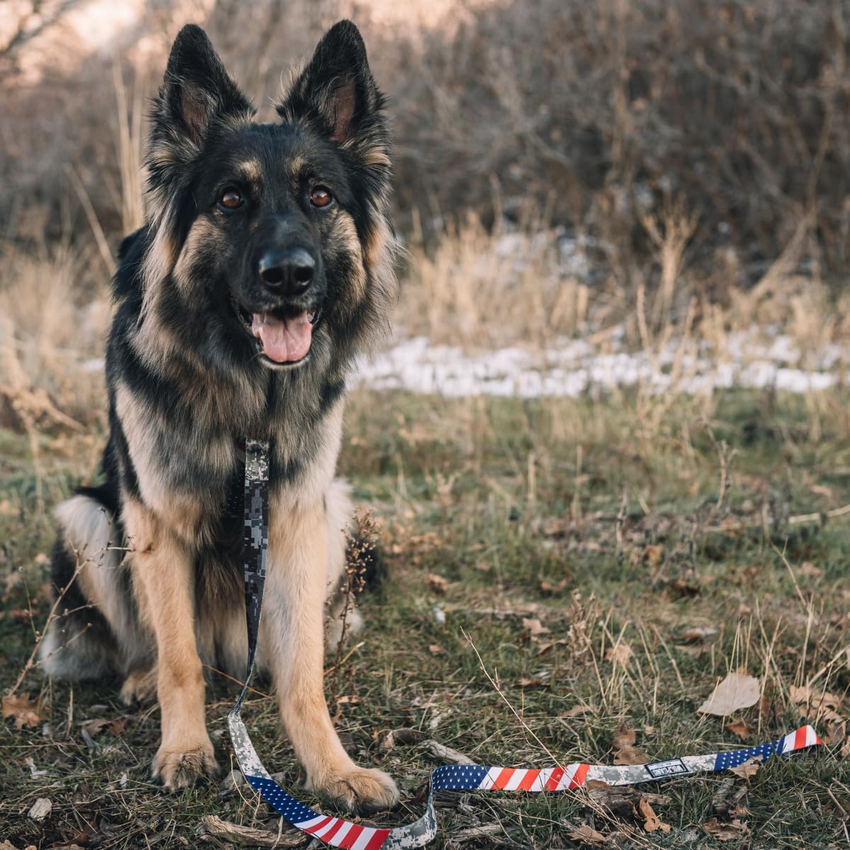 Wolfgang Heavy Duty Martingale Collar DigitalDog print, quick-release buckle closeup for easy on/off.