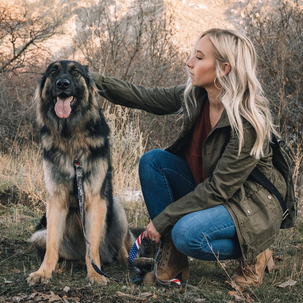 Wolfgang Heavy Duty Martingale Collar Welded steel D-ring closeup ensures secure leash.