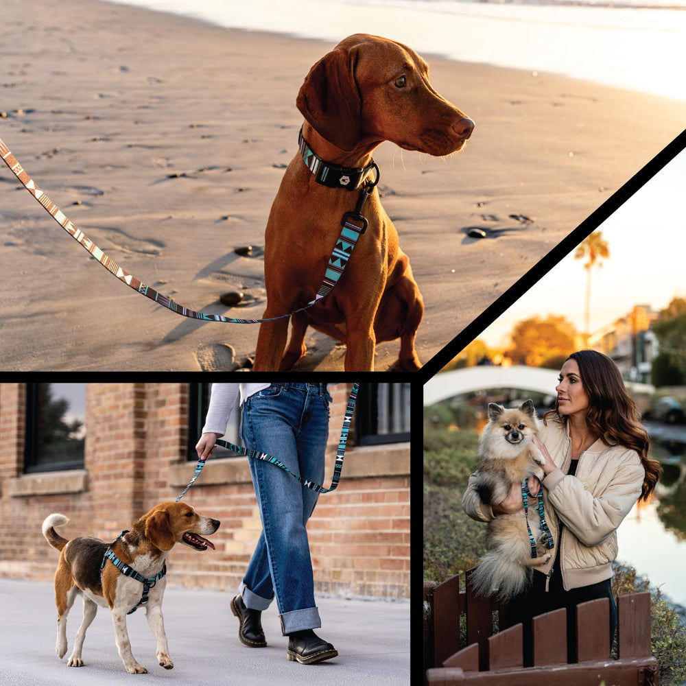Wolfgang Heavy Duty Martingale Collar WesternSky Small stitching detail highlights durable construction