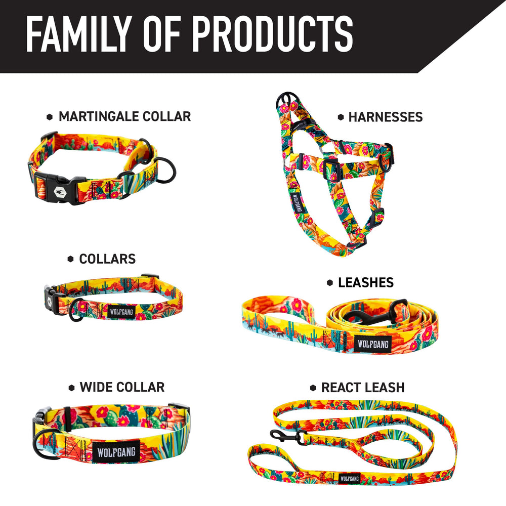 Wolfgang Weather-ready collar demonstrates UV and stain resistance for year-round outdoor use.