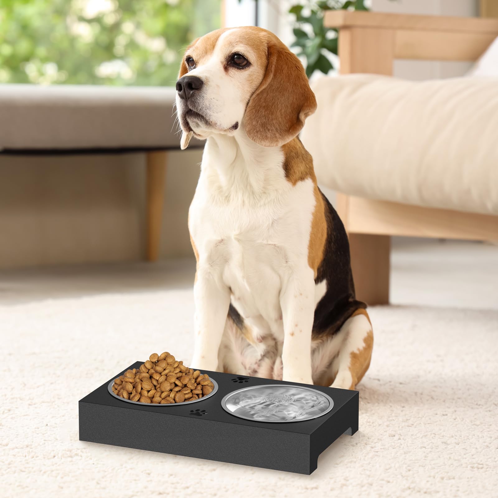 Womnwomn elevated dog bowls stand sets a tidy, organized mealtime