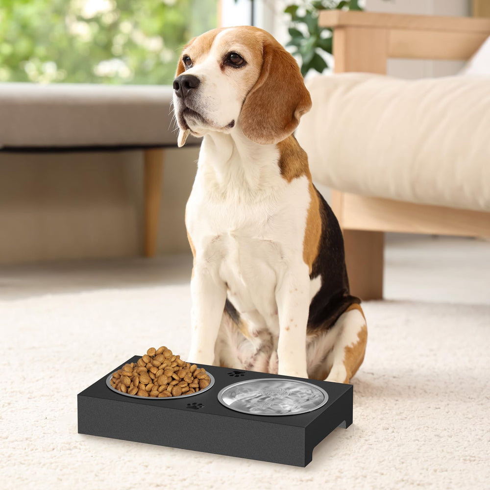 Womnwomn elevated dog bowls stand sets a tidy, organized mealtime