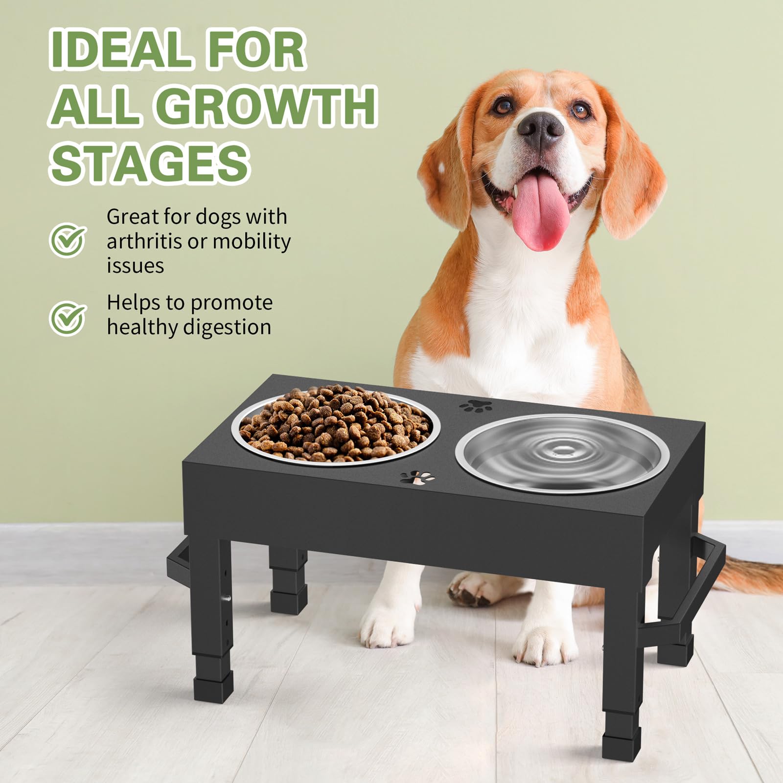 Womnwomn elevated dog bowls stand portable design makes moving simple