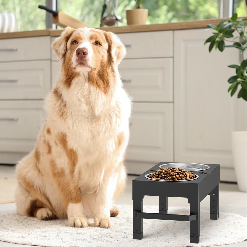 Womnwomn elevated dog bowls stand small-to-large dogs suitable height range