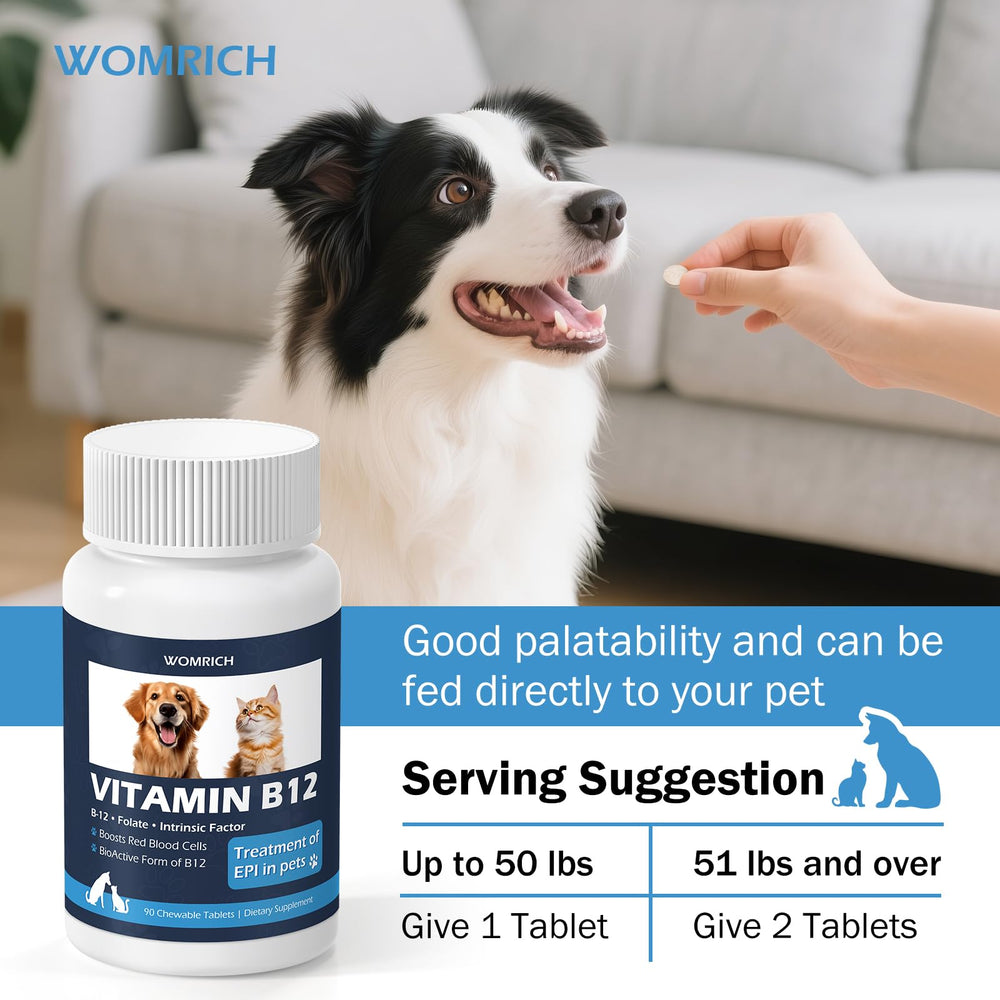 WOMRICH B12 tablets cat-dosing shows feline appetite and digestion support