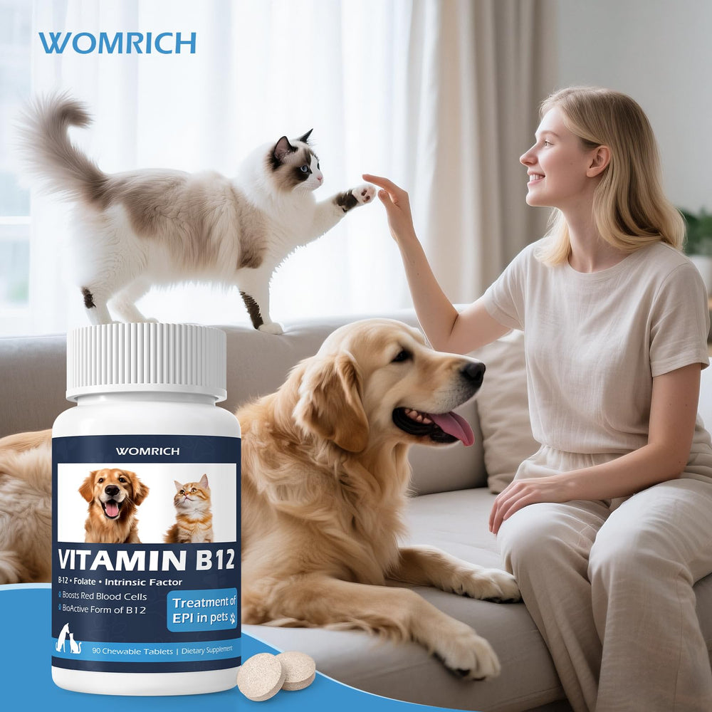 WOMRICH B12 tablets energy-boost suggests daily pet wellness