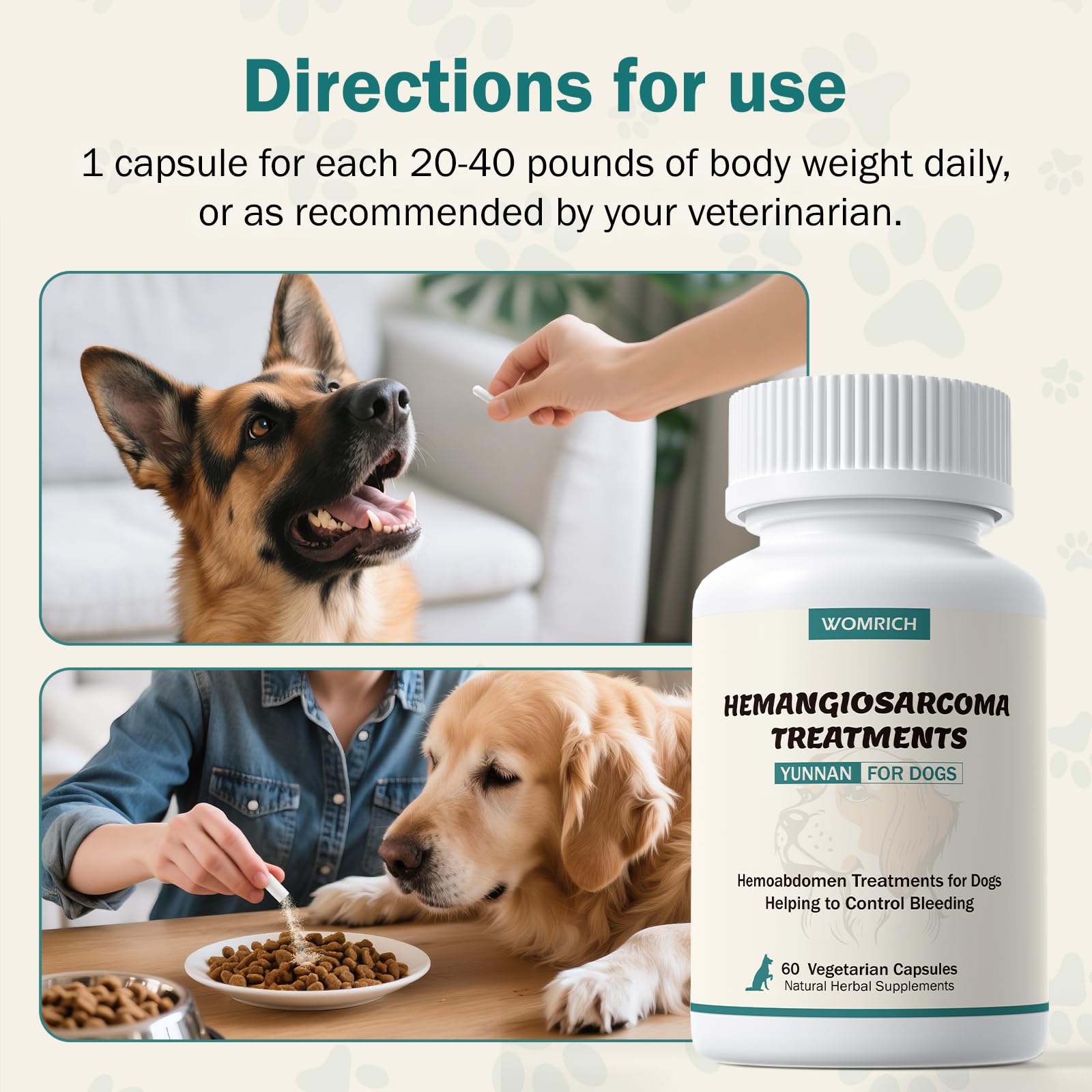 WOMRICH dog and owner enjoying a walk after nourishment support