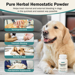WOMRICH Blood Support for Dogs dosing spoon ensures precise, consistent dosing