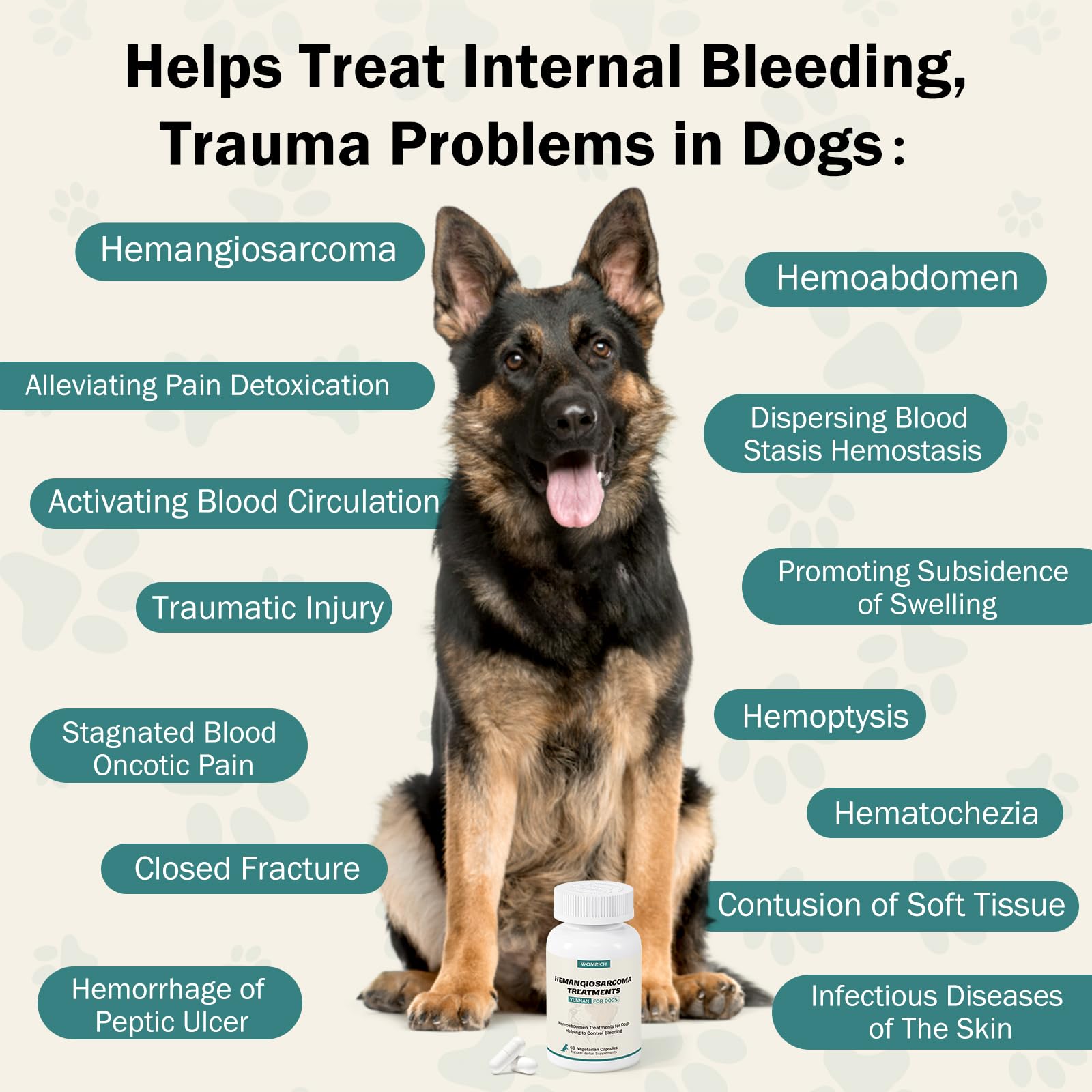 WOMRICH Blood Support for Dogs powder dispenses easily into soft food