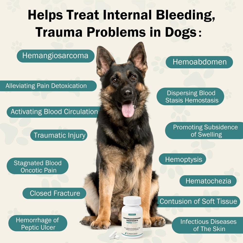 WOMRICH Blood Support for Dogs powder dispenses easily into soft food