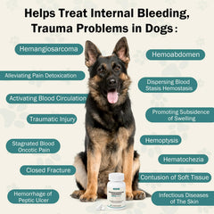 WOMRICH Blood Support for Dogs powder dispenses easily into soft food