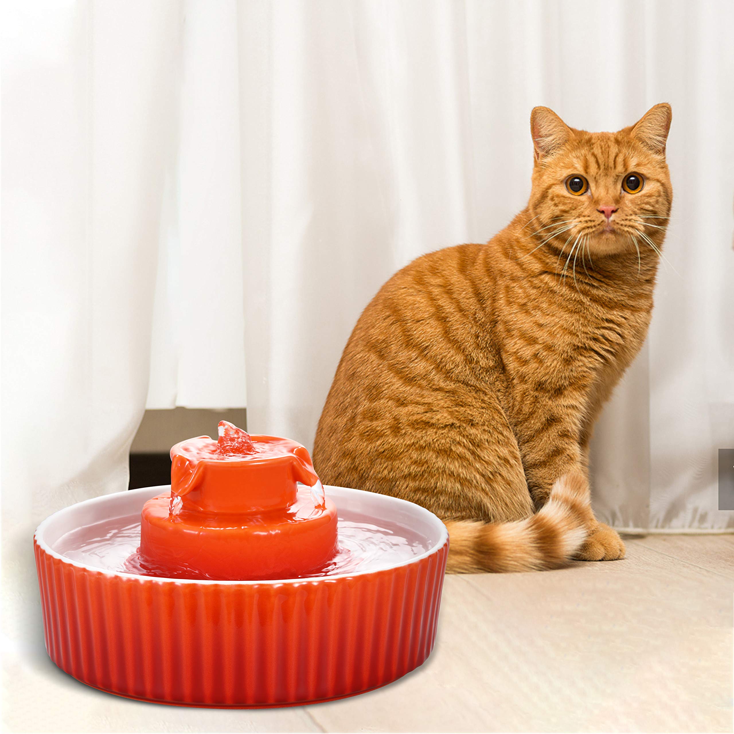 Wonder Creature ceramic cat fountain orange durable porcelain closeup emphasizes long lasting use