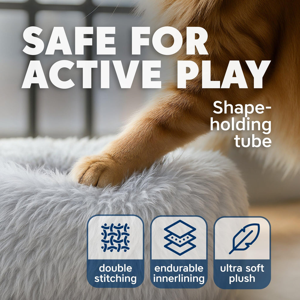 Wonder Family Cat Donut Tunnel Bed supports multi-pet play sessions indoors.