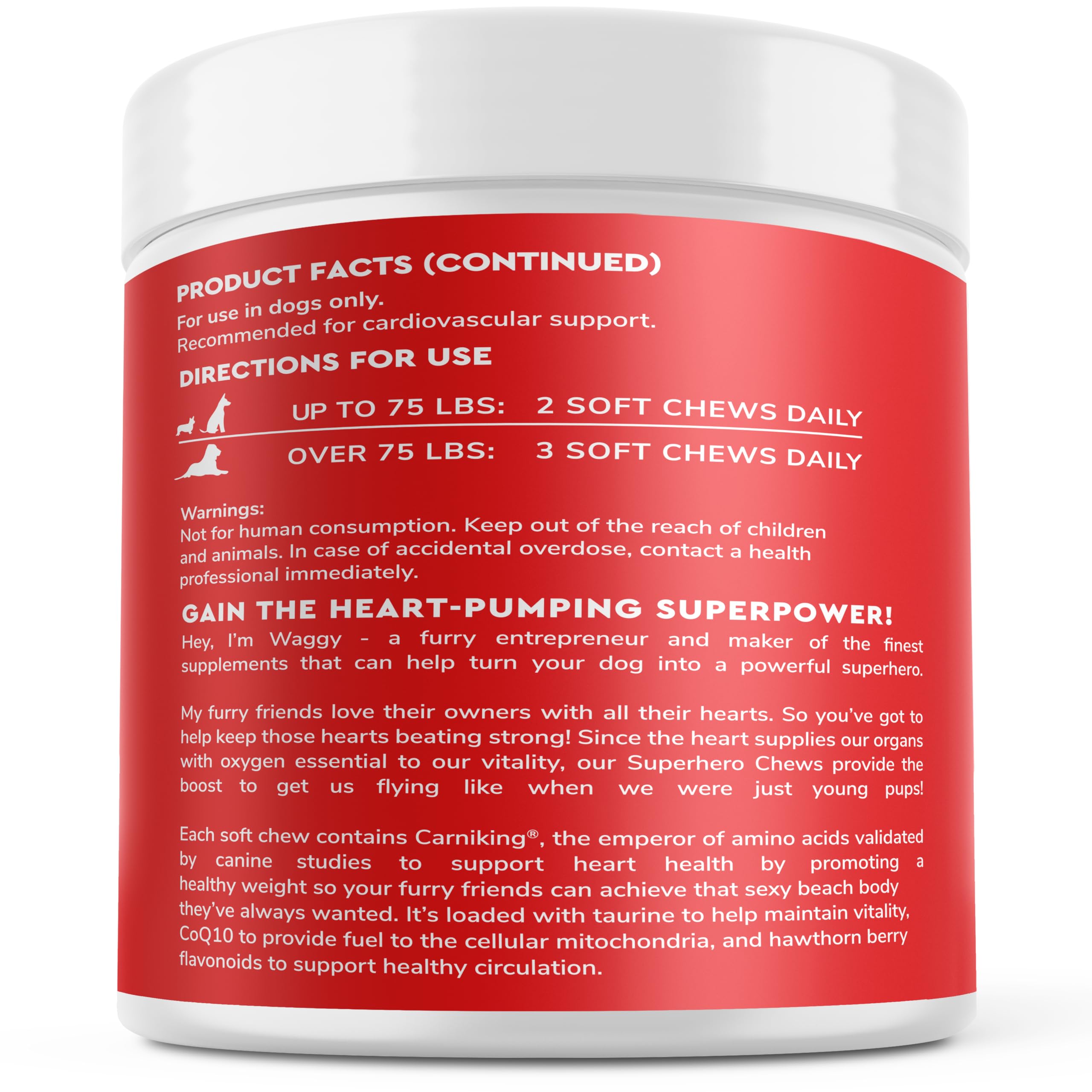 Wonder Paws Cardio Chews dog enjoying daily activity with cardio support.